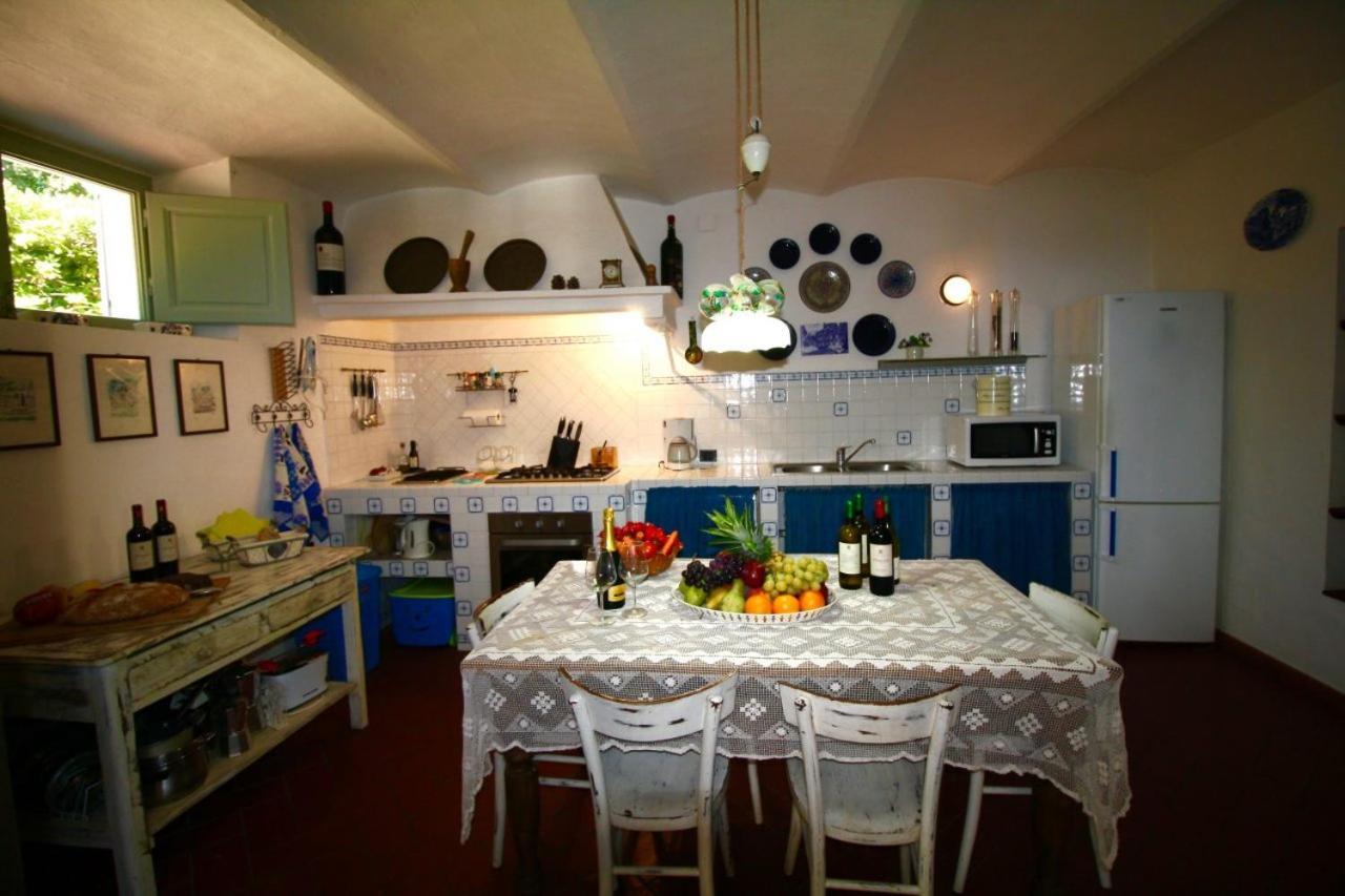 Villa Paradiso 카스티글리온셀로 외부 사진